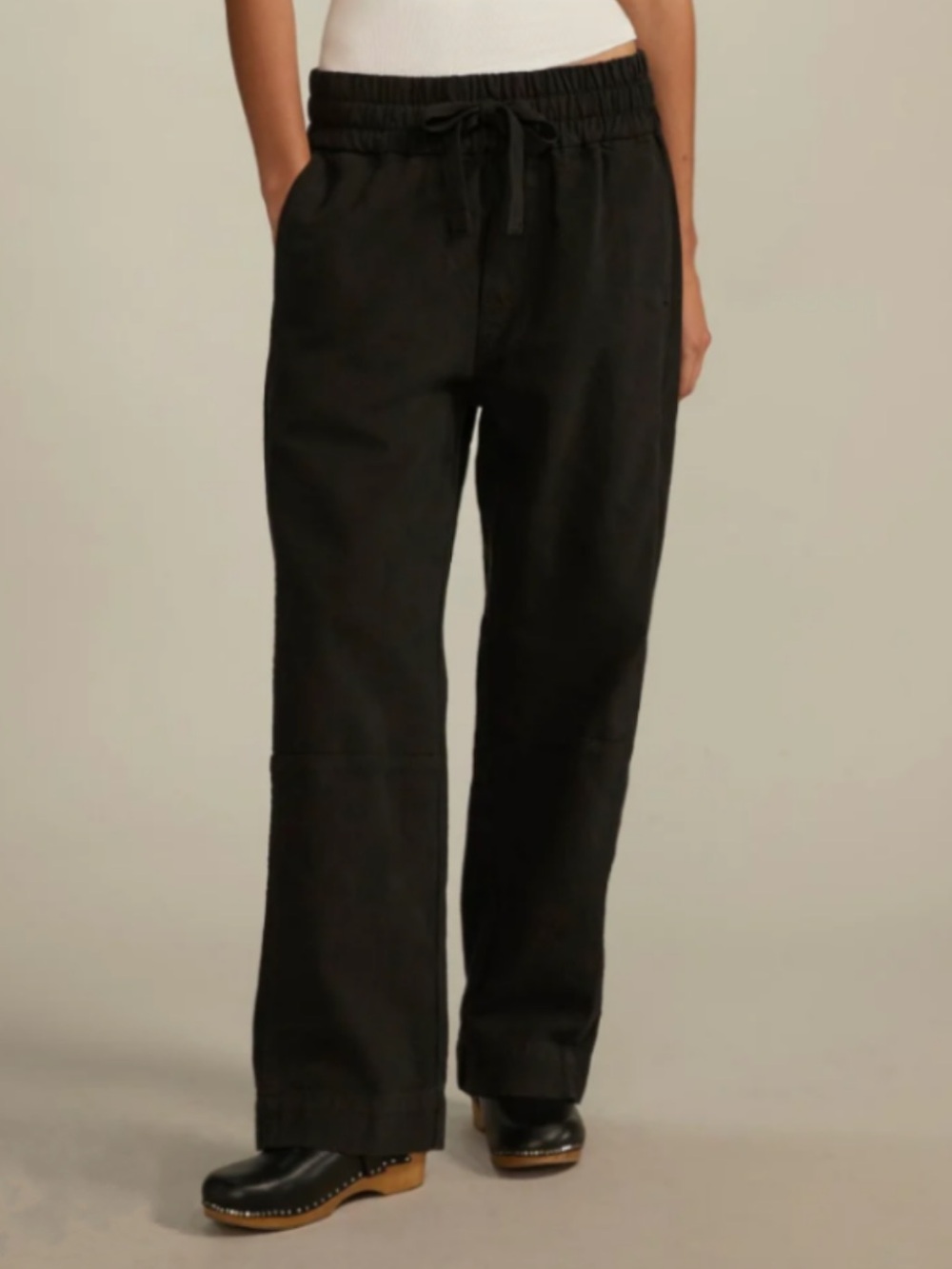 Everlane Organic Cotton Canvas Pull On Pants